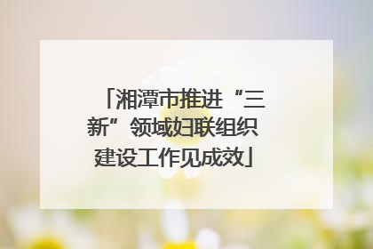 湘潭市推进“三新”领域妇联组织建设工作见成效