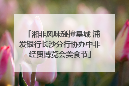 湘非风味碰撞星城 浦发银行长沙分行协办中非经贸博览会美食节