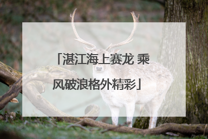 湛江海上赛龙 乘风破浪格外精彩