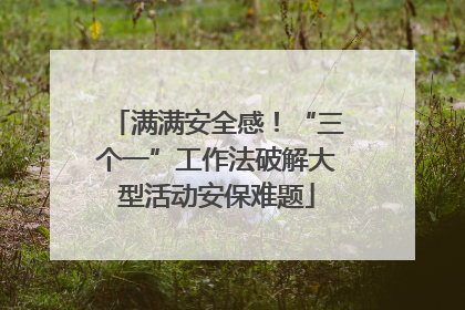 满满安全感！“三个一”工作法破解大型活动安保难题