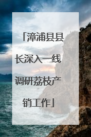 漳浦县县长深入一线调研荔枝产销工作