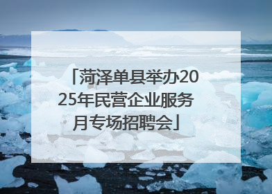 菏泽单县举办2025年民营企业服务月专场招聘会