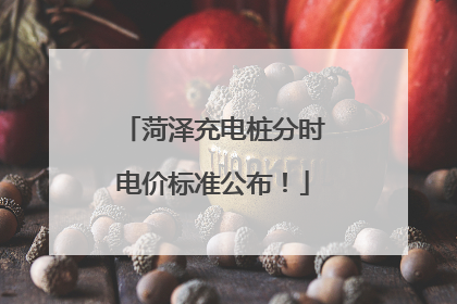 菏泽充电桩分时电价标准公布！