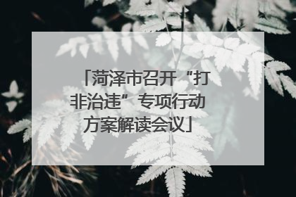 菏泽市召开“打非治违”专项行动方案解读会议