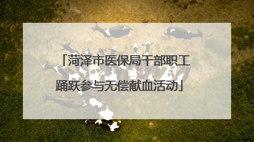 菏泽市医保局干部职工踊跃参与无偿献血活动
