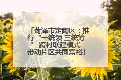 菏泽市定陶区：推行“一统领 三统筹” 跨村联建模式 带动片区共同富裕