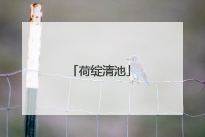 荷绽清池