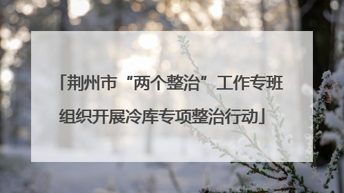 荆州市“两个整治”工作专班组织开展冷库专项整治行动