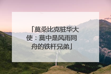 莫桑比克驻华大使：莫中是风雨同舟的铁杆兄弟