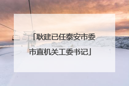 耿建已任泰安市委市直机关工委书记