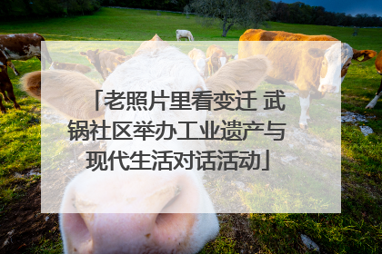 老照片里看变迁 武锅社区举办工业遗产与现代生活对话活动