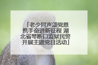 老少同声颂党恩 携手奋进新征程 湖北省琴断口监狱民警开展主题党日活动