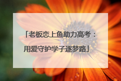 老板恋上鱼助力高考：用爱守护学子逐梦路