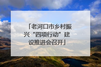 老河口市乡村振兴“四项行动”建设推进会召开