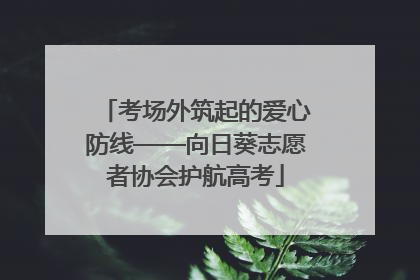 考场外筑起的爱心防线——向日葵志愿者协会护航高考