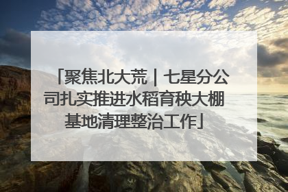聚焦北大荒｜七星分公司扎实推进水稻育秧大棚基地清理整治工作