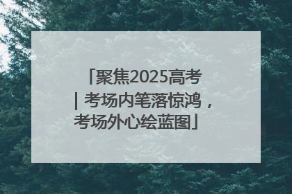聚焦2025高考｜考场内笔落惊鸿，考场外心绘蓝图