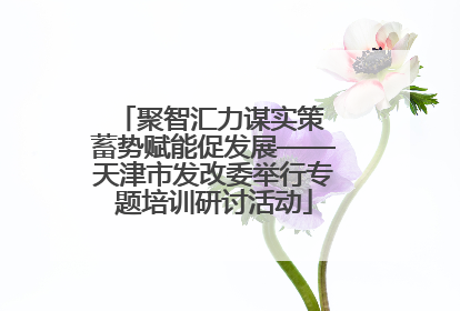 聚智汇力谋实策 蓄势赋能促发展——天津市发改委举行专题培训研讨活动