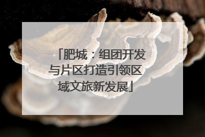 肥城：组团开发与片区打造引领区域文旅新发展