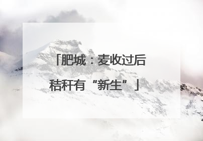 肥城：麦收过后秸秆有“新生”