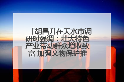 胡昌升在天水市调研时强调：壮大特色产业带动群众增收致富 加强文物保护推动文化创新发展