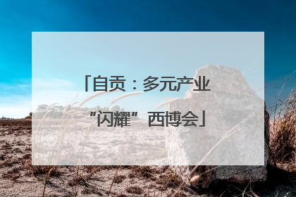 自贡：多元产业“闪耀”西博会