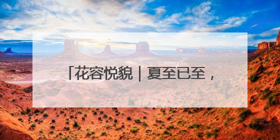 花容悦貌｜夏至已至，南京“荷”处有美韵