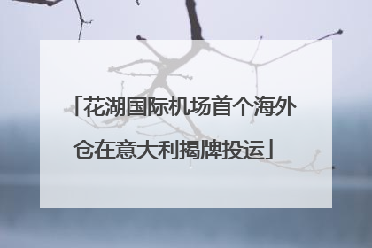 花湖国际机场首个海外仓在意大利揭牌投运