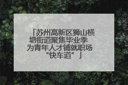 苏州高新区狮山横塘街道聚焦毕业季 为青年人才铺就职场“快车道”