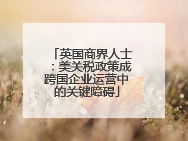 英国商界人士：美关税政策成跨国企业运营中的关键障碍