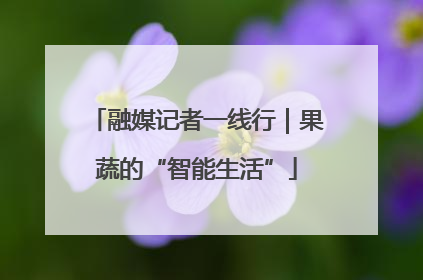 融媒记者一线行｜果蔬的“智能生活”