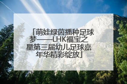 萌娃绿茵播种足球梦——LHK福宝之星第三届幼儿足球嘉年华精彩绽放