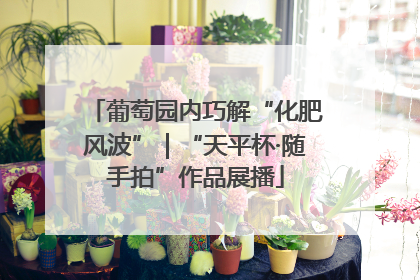 葡萄园内巧解“化肥风波”｜“天平杯·随手拍”作品展播