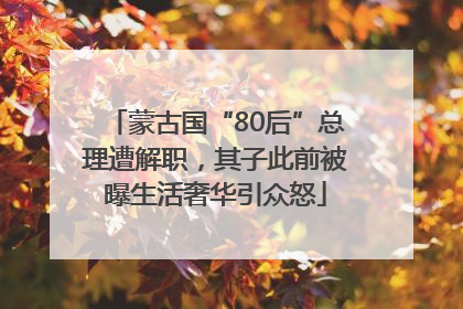 蒙古国“80后”总理遭解职，其子此前被曝生活奢华引众怒