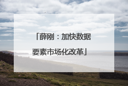 薛刚：加快数据要素市场化改革