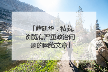 薛建华，私藏、浏览有严重政治问题的网络文章