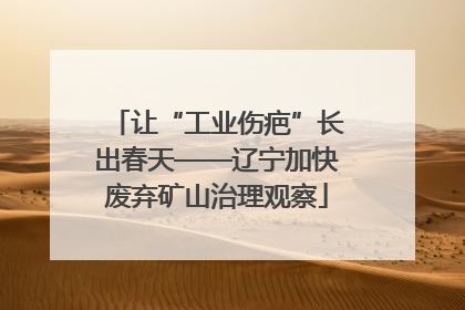 让“工业伤疤”长出春天——辽宁加快废弃矿山治理观察