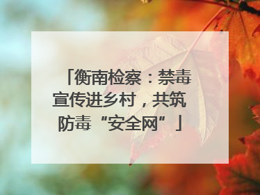 衡南检察：禁毒宣传进乡村，共筑防毒“安全网”