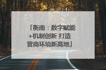 衡南：数字赋能+机制创新 打造营商环境新高地