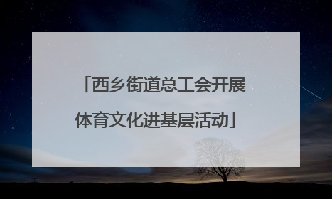西乡街道总工会开展体育文化进基层活动