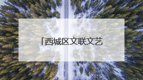 西城区文联文艺志愿服务团成立仪式暨“舞步绽芳华·艺韵启新章”2025年舞蹈大赛展演圆满举办