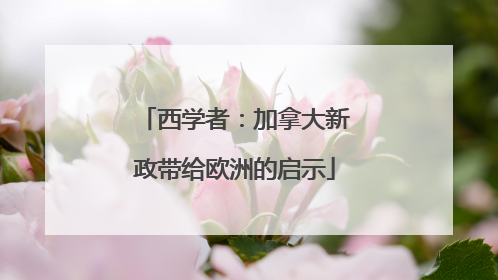西学者：加拿大新政带给欧洲的启示