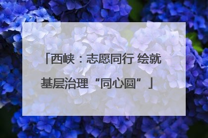 西峡：志愿同行 绘就基层治理“同心圆”