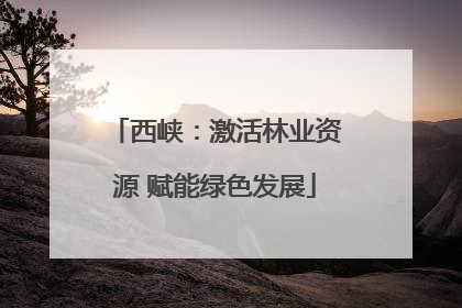 西峡：激活林业资源 赋能绿色发展