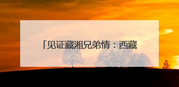 见证藏湘兄弟情：西藏山南特色产品亮相第四届中国-非洲经贸博览会