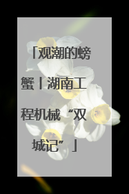 观潮的螃蟹丨湖南工程机械“双城记”