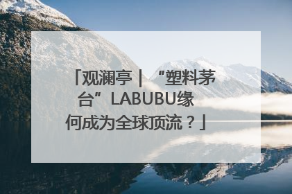 观澜亭｜“塑料茅台”LABUBU缘何成为全球顶流？