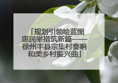 规划引领绘蓝图 惠民举措筑新篇——徐州丰县宗集村奏响和美乡村振兴曲