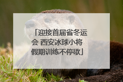 迎接首届省冬运会 西安冰球小将假期训练不停歇