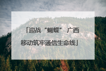 迎战“蝴蝶” 广西移动筑牢通信生命线